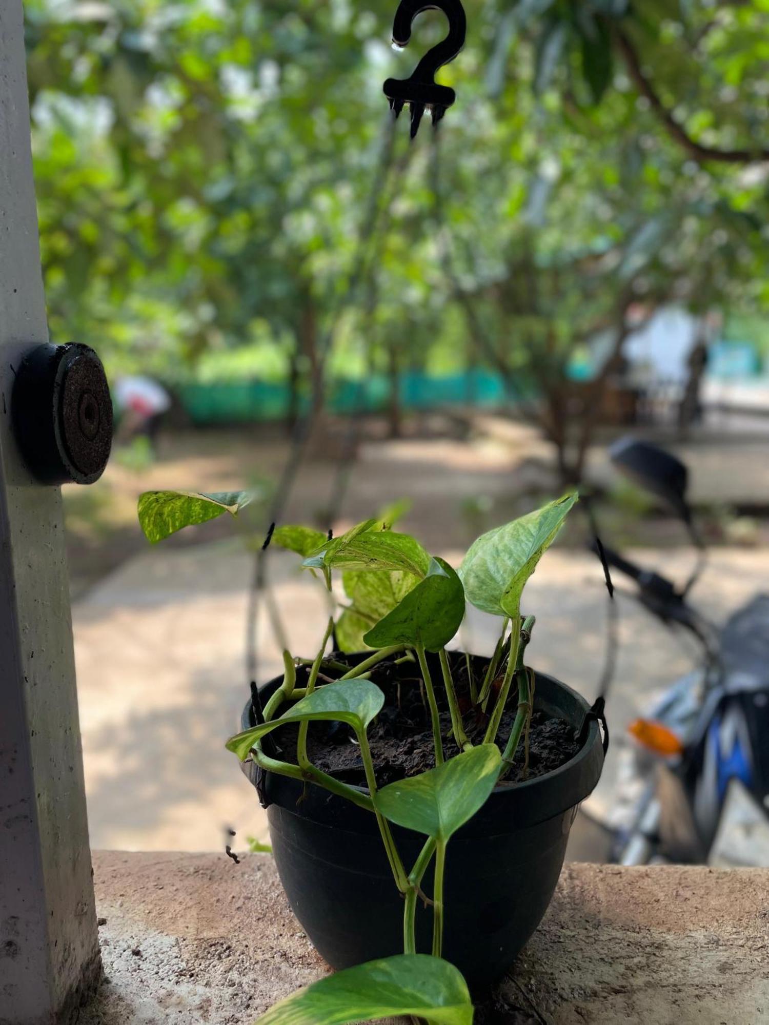 Riverland Farm And Resort Karjat Luaran gambar